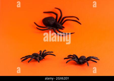 Primo piano di ragni neri horror su sfondo arancione con spazio di copia. Decorazione di Halloween concetto di sfondo spoky per le vacanze Foto Stock