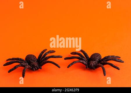 Primo piano di ragni neri horror su sfondo arancione con spazio di copia. Decorazione di Halloween concetto di sfondo spoky per le vacanze. Foto Stock