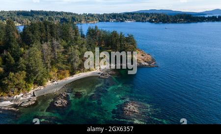 Fuco di una costa nel Moses Point, North Saanich, Vancouver Island, BC Canada Foto Stock