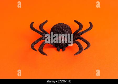 Primo piano del ragno nero horror sullo sfondo arancione con spazio per la copia. Decorazione di Halloween concetto di sfondo spoky per le vacanze. Foto Stock