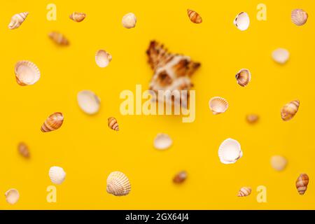 Levitazione dall'alto di conchiglie di mare di colore bianco e marrone motivo su sfondo giallo vibrante in cima. Vacanze viaggio e vacanza concetto wi Foto Stock