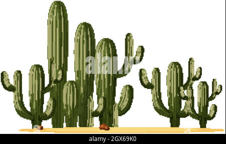 Diverse forme di cactus in un gruppo Illustrazione Vettoriale