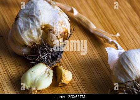 Macro colpo di aglio nel suo guscio su un tavolo di legno Foto Stock