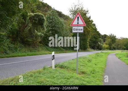 cartello stradale di avvertimento in oca Foto Stock
