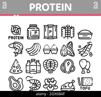 Protein Food Nutrition Collection Icons Set Vector Illustrazione Vettoriale