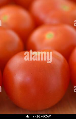 Solanum lycopersicum 'Cherry Falls' Cherry Tomato Cascading determinato varietà di cespuglio adatto per contenitori SYN. Raccolta di Lycopersicon esculentum Foto Stock