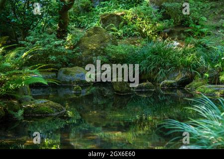 Giardino giapponese con acqua ad albuquerque, nuovo messico Foto Stock