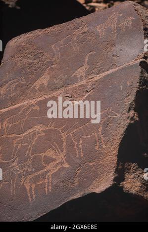 Twyfelfontein è una valle della Namibia, situata a Damaraland, è conosciuta per oltre 2,000 dipinti rupestri e graffiti dell'età della pietra Foto Stock