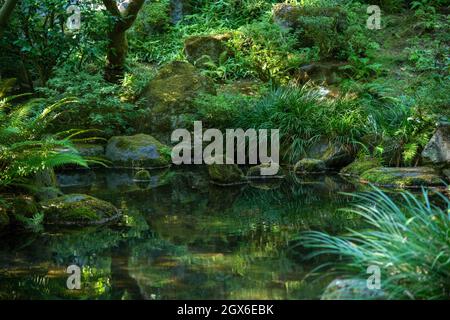 Giardino giapponese con acqua ad albuquerque, nuovo messico Foto Stock