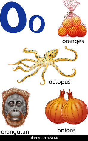 Cose che iniziano con la lettera o Illustrazione Vettoriale
