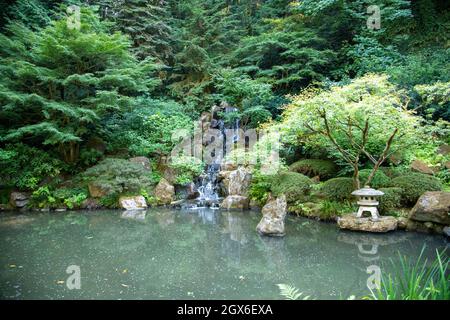 Giardino giapponese con acqua ad albuquerque, nuovo messico Foto Stock