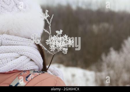 Una donna in guanti bianchi tiene in mano una pianta secca. La pianta è coperta di gelo. Foto Stock