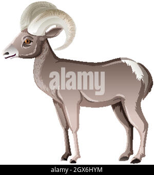 Desert Bighorn Sheep isolato su sfondo bianco Illustrazione Vettoriale