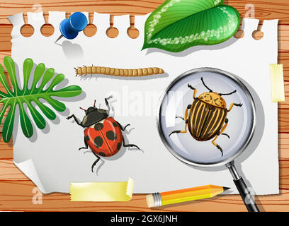 Ladybug con coleottero di patate Colorado e lente d'ingrandimento sul tavolo da vicino Illustrazione Vettoriale