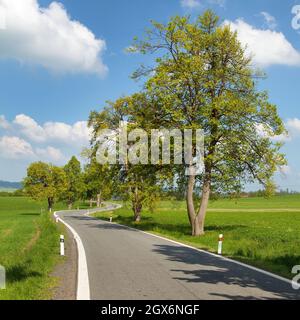 primavera o strada e vialetto springy, splendida vista primaverile Foto Stock