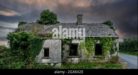 Un vecchio casolare abbandonato derelitto nella contea di Longford, Irlanda. Foto Stock