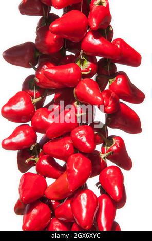 Mazzo appeso di peperoni piquillo. Isolato su bianco Foto Stock
