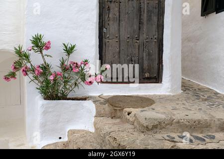 Scala in legno recinzione su una facciata casa bianca luminosa a Minorca, Spagna Foto Stock
