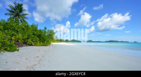 spiaggia tropicale ad anse volbert su praslin sulle seychelles Foto Stock