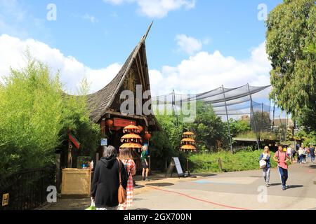 Ingresso al Tiger Territory allo Zoo di Londra, Regno Unito Foto Stock