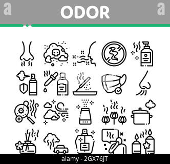 Oor Aroma e le icone della raccolta di odori Imposta vettore Illustrazione Vettoriale