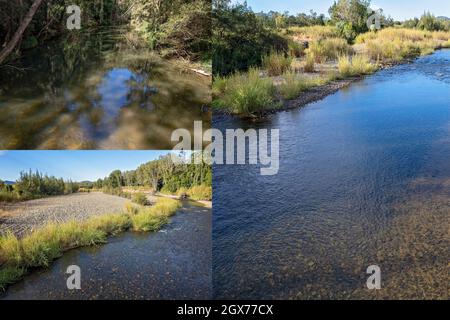 Collage di immagini di insenature poco profonde con acqua che scorre lentamente all'interno di un ambiente di macchia Foto Stock