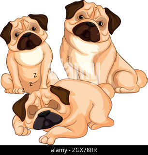 Tre cani in pug su sfondo bianco Illustrazione Vettoriale