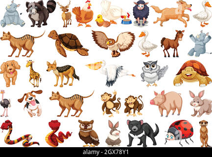 Set di carattere animale Illustrazione Vettoriale