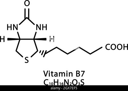 Vitamina B7 Biotin struttura molecolare. Vitamina B7 Biotin formula chimica scheletrica. Formule molecolari chimiche Illustrazione Vettoriale
