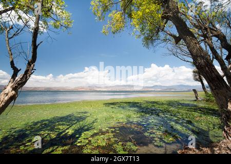 Lago di Erhai a Dali, provincia di Yunnan, Cina. Foto Stock