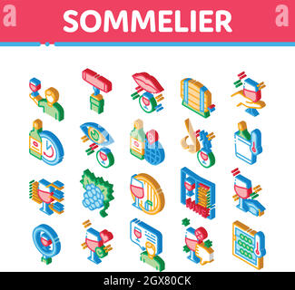 Sommelier degustazione vino icone isometriche Set Vector Illustrazione Vettoriale