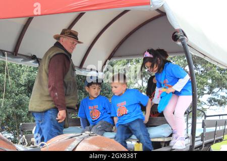 carrozza con tre cavalli. Devonport, Auckland, Nuova Zelanda. 11 Sep 2011 Foto Stock