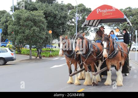 carrozza con tre cavalli. Devonport, Auckland, Nuova Zelanda. 11 Sep 2011 Foto Stock