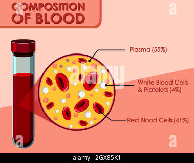 Diagramma che mostra la composizione del sangue Illustrazione Vettoriale