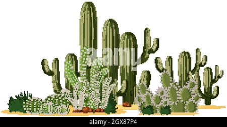 Diverse forme di cactus in un gruppo Illustrazione Vettoriale