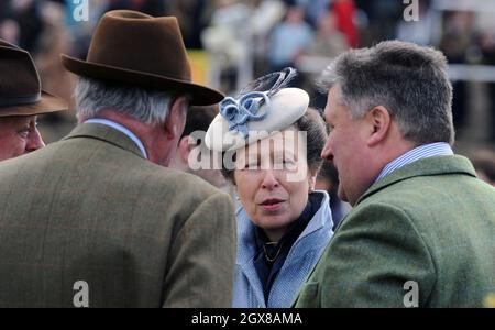 La Principessa Anne partecipa alla Gold Cup Day al Cheltenham Festival il 18 marzo 2011 a Cheltenham, Inghilterra. Foto Stock