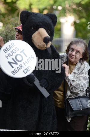 Un protester durante la visita di Camilla, Duchessa di Cornovaglia al reggimento dei Rifles della Regina al Moss Park Armery di Toronto il secondo giorno di un tour giubilare dei Diamanti del Canada il 22 maggio 2012. Foto Stock