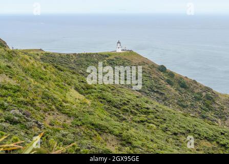 Paesaggio costiero con faro intorno a Capo Reinga a nord Isola in Nuova Zelanda Foto Stock