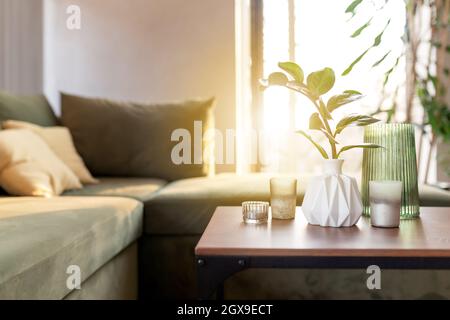 Relax a casa con candele e vaso con zamioculcas a tavola di legno. Divano verde con cuscini gialli. Raggi di sole. Foto di alta qualità Foto Stock