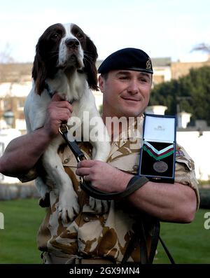 Buster una spaniella springer cinque-ear-old, con il suo gestore Sergeant Danny Morgan e Kate Adie all'Imperial War Museum. Buster è considerato responsabile di salvare innumerevoli vite umane quando ha individuato una cache nascosta di armi, esplosivi e attrezzature per la costruzione di bombe in edifici che si ritiene siano la sede degli estremisti responsabili degli attacchi alle forze britanniche durante il recente conflitto in Iraq. Foto Stock