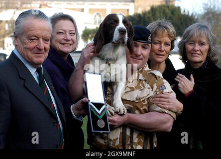 Buster una spaniella springer cinque-ear-old, con il suo gestore Sergeant Danny Morgan e Kate Adie all'Imperial War Museum. Buster è considerato responsabile di salvare innumerevoli vite umane quando ha individuato una cache nascosta di armi, esplosivi e attrezzature per la costruzione di bombe in edifici che si ritiene siano la sede degli estremisti responsabili degli attacchi alle forze britanniche durante il recente conflitto in Iraq. Foto Stock