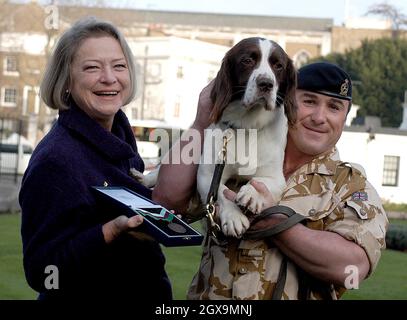 Buster una spaniella springer cinque-ear-old, con il suo gestore Sergeant Danny Morgan e Kate Adie all'Imperial War Museum. Buster è considerato responsabile di salvare innumerevoli vite umane quando ha individuato una cache nascosta di armi, esplosivi e attrezzature per la costruzione di bombe in edifici che si ritiene siano la sede degli estremisti responsabili degli attacchi alle forze britanniche durante il recente conflitto in Iraq. Foto Stock