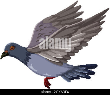 Pigeon uccello battenti cartone animato isolato su sfondo bianco Illustrazione Vettoriale