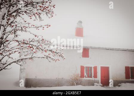 Albero rowan coperto di neve e vecchia fattoria in pietra con persiane di legno rosso e porta rossa sullo sfondo. Francia. Foto retro rosso bianco e nero. Inverno. Foto Stock