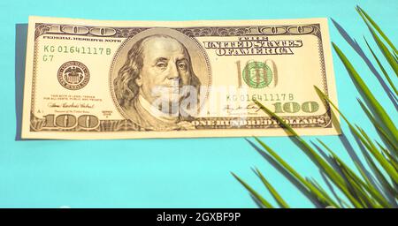 Bolletta del centinaio di dollari e erba verde in un angolo su un tavolo blu soleggiato. Foto Stock