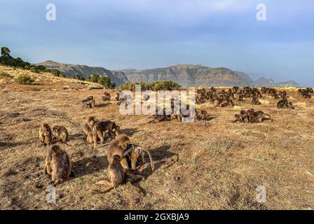 Simien Mountains - bellissimo paesaggio di montagna unico da Nord Etiopia altopiani, Etiopia. Foto Stock