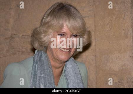 Camilla, duchessa di Cornovaglia, visita Jaulian, un sito archeologico patrimonio dell'umanità a Taxila vicino Islamabad, Pakistan il 31 ottobre 2006. Anwar Hussein/EMPICS Entertainment Foto Stock