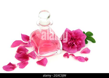 Profumo di rosa in bottiglia di vetro retrò art deco con fiori e petali rosa. Concetto di profumo naturale. Rosa rugosa varietà. Su sfondo bianco. Foto Stock