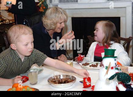 Camilla, Duchessa di Cornovaglia, ama il tè con i bambini del Shooting Star Children's Hospice seguendo il loro aiuto nel decorare l'albero di Natale alla Clarence House il December13, 2006 a Londra, Inghilterra. Anwar Hussein/EMPICS Entertainment Foto Stock