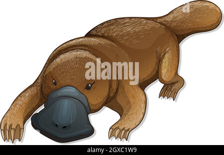 Ornitorinco Illustrazione Vettoriale